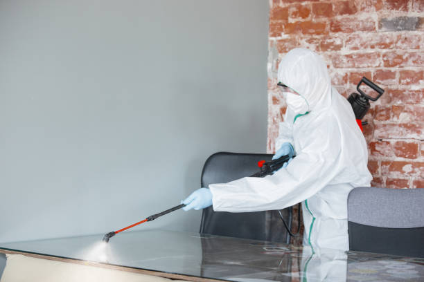 Best Crawl Space Mold Remediation  in Sierra Madre, CA