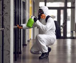 Best Commercial Mold Inspection  in Sierra Madre, CA